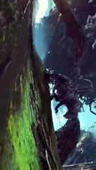 hollywood fighting movie seen