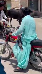 VID-20240614-WA0015