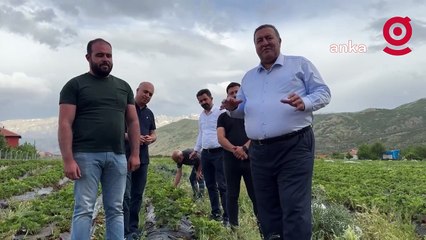 Niğdeli çiftçi: "Yarım kilo çilek alıyor insanlar, onu da utanarak söylüyorlar. Yani endişeliyiz durumdan"