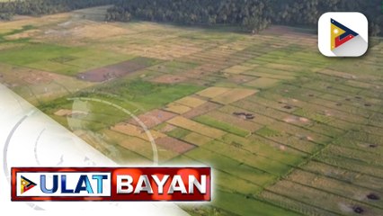 Agrarian Reform Beneficiary sa Leyte, may sarili nang lupa sa tulong ng gobyerno