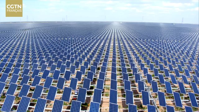 Tournesol dans le désert - La centrale électrique complémentaire agricole et photovoltaïque de Yinchuan écrit un nouveau chapitre de la civilisation écologique
