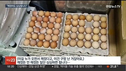 구멍 나고 깨진 달걀로 케이크 만들어…비위생 제과업체 적발