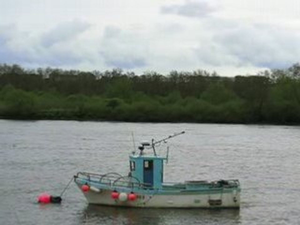 Basse-Indre : la Loire