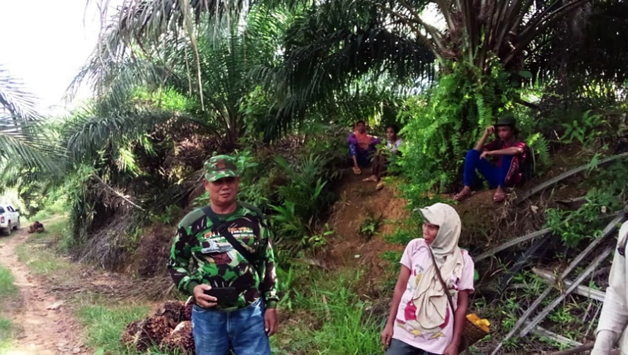 Praktisi Hukum Rudy Farcison SH Bicara Konflik Perebutan Lahan Lembaga Swadaya Kalimantan Membangun dengan PT Nusantara Sarana Alam di Kabupaten Landak, Provinsi Kalimantan Barat, Dibiarkan Berlarut Sampai 8 Tahun Terakhir