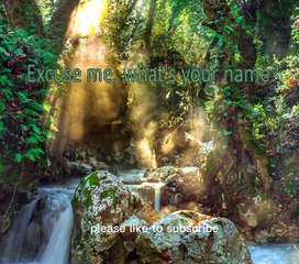 English language course class A1