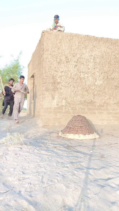 #comedy funny wait for end end