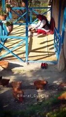 Reshte Khoshkar Amazing Local Dessert @Rural Cuisine