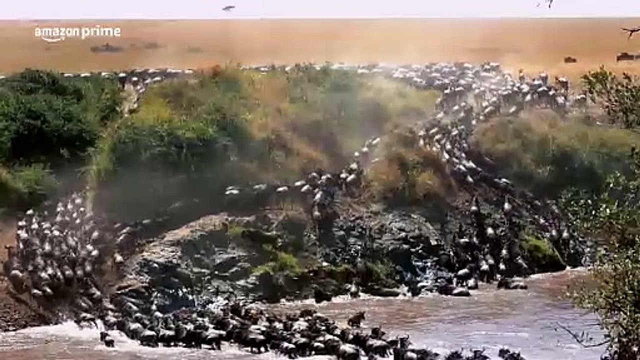 Mirzapur Season 3 - Official Teaser - Pankaj Tripathi, Ali Fazal, Shweta Tripathi, Rasika Dugal