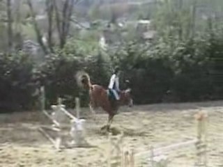 Cso cheval bugey