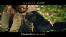 Le Dernier jaguar, dispo en DVD, Blu-Ray et à l achat digital