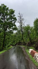 _nature _view _viral _amazing _beautynature _sukoon _like(MP4)