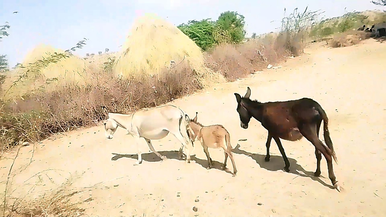 VID_20240613_094530