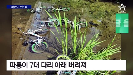 따릉이 27대 하천에 던져…경찰 추적