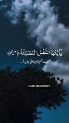 Recitation Of Quran  #islamicvideo #quranictranslation #quran #muslimstories