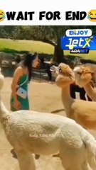 #8ٹو کے  کے دکھاؤں کیسے تھوکتے ہیں