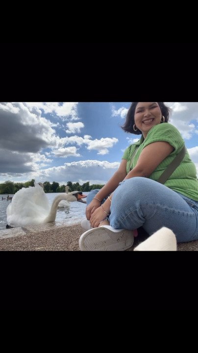 Swan Bites Woman on Her Knee While She Feeds it at Pond