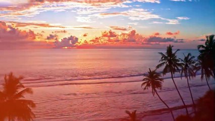 Experience Opulence with Luxury Goa Villas