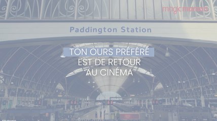 Paddington : Ton ours préféré est de retour au cinéma