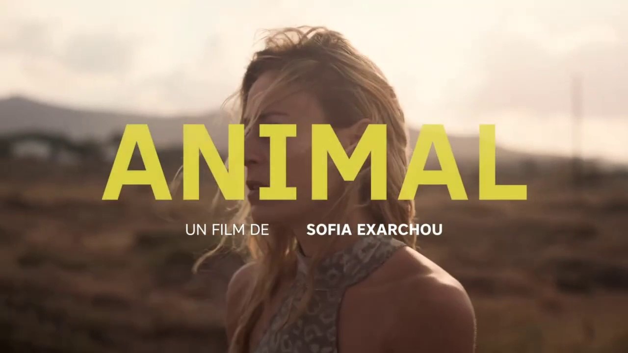 Animal de Sofia Exarchou