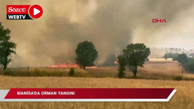 Manisa'da orman yangını