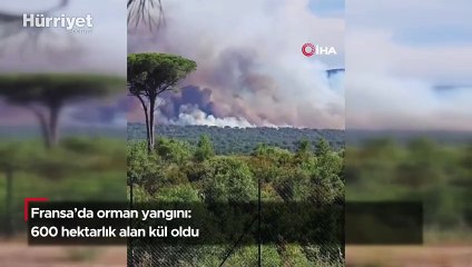 Fransa'da orman yangını: 600 hektarlık alan kül oldu