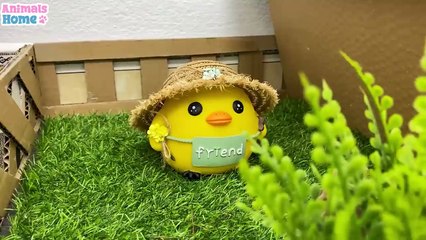 BiBi obedient helps dad with housework