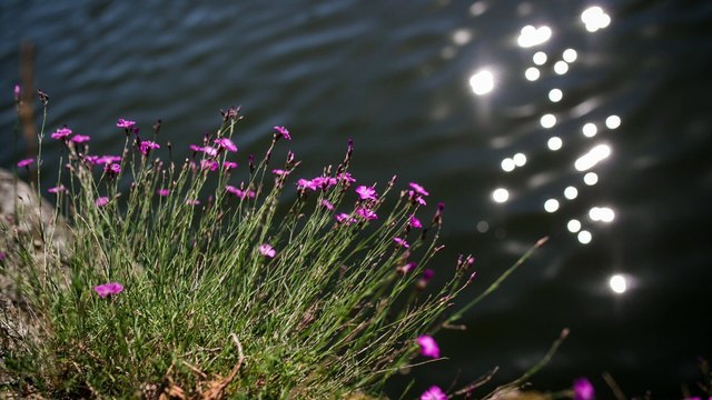 Les écrins verts de la Loire, eps 2 : Les gorges de la Loire