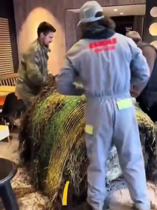 Agricultores Franceses vandalizan McDonald's exigiendo café gratis