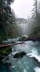 Surah Kahf with English translation Quran chapter 18 verse 10-14