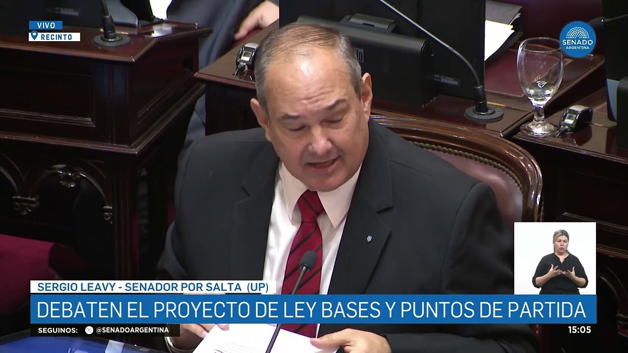 Leavy razonó las facultades que otorga la Ley de Bases a Milei: "Delegación de facultades para un Presidente que dice que es un topo"