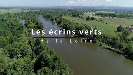 Les écrins verts de la Loire, série documentaire TL7