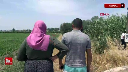 Antalya'da 8 aydır kayıp Nihal'in arandığı bölgede kemik parçaları bulundu