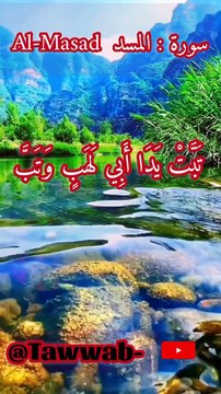 Recitation Of Qur'an...! Récitation du Coran #recitation_du_coran_et_doua #viralvideoシ #Quran #Qurbani #foryoupageシ #islamic