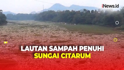 Lautan Sampah dan Eceng Gondok Tutup Aliran Sungai Citarum