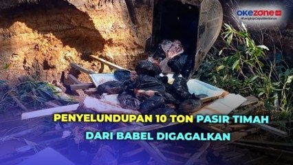 Polisi Gagalkan Penyelundupan 10 Ton Pasir Timah dari Babel, Modusnya Ditutup Daging Babi