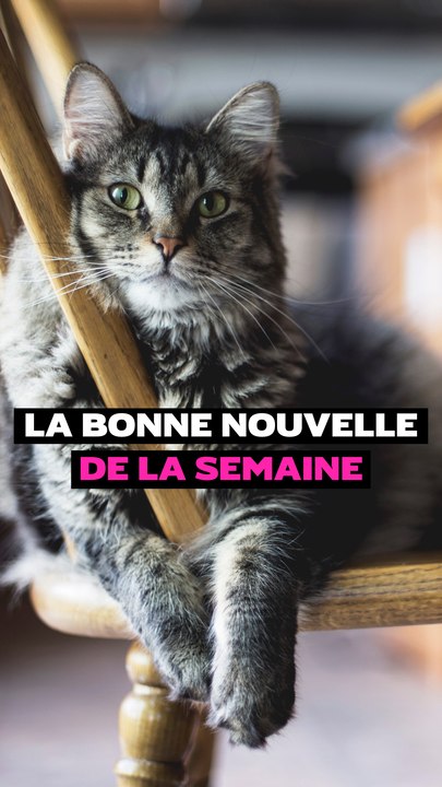 La bonne nouvelle de la semaine