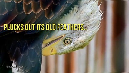 5 Habits of Mentally Strong People in Hindi