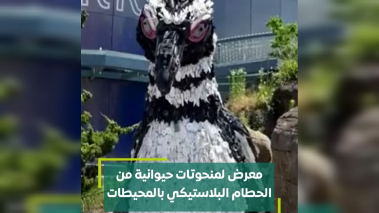 معرض لمنحوتات حيوانية من الحطام البلاستيكي بالمحيطات