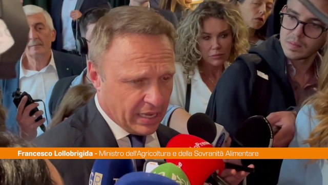 Lollobrigida Fatti accaduti in Parlamento stonano durante il G7