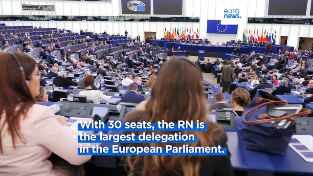 Reintegrating AfD into ID is not on the agenda, says French MEP Garraud