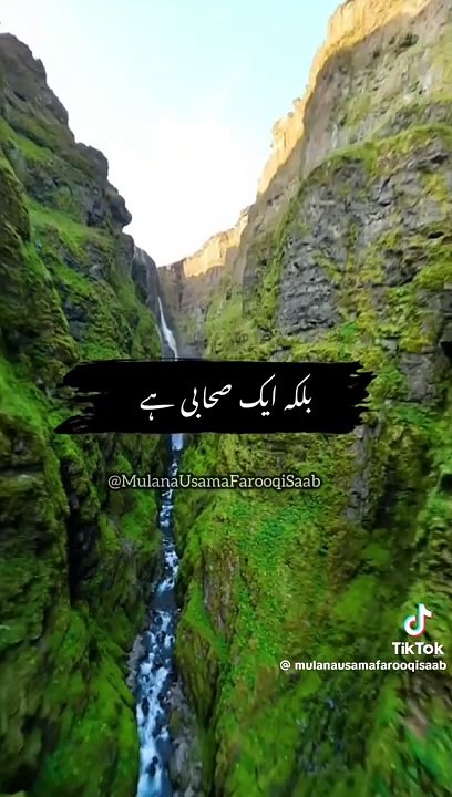 "Words of Wisdom: Daily Inspirational and Motivational Quotes"