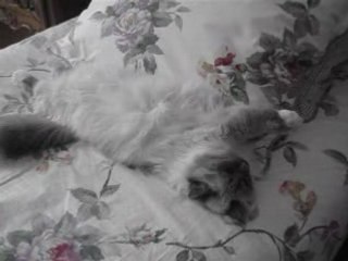 Il fait beau c'est le printemps 011