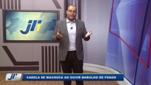 Cadela se machuca ao ouvir barulho de fogos