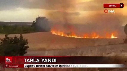 Edirne buğday tarlası saniyeler içerisinde küle döndü