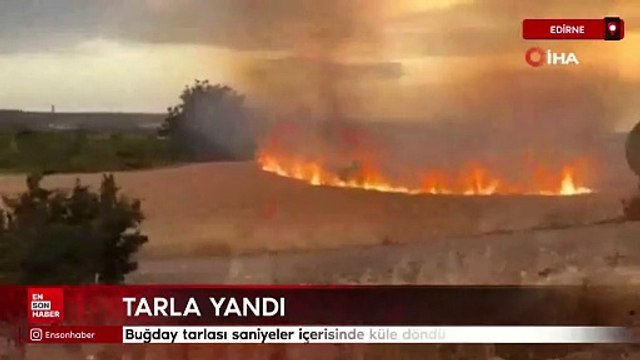 Edirne buğday tarlası saniyeler içerisinde küle döndü