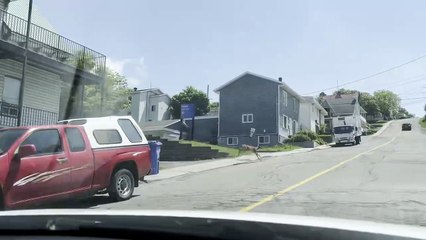 Un chevreuil en cavale à Rivière-du-Loup
