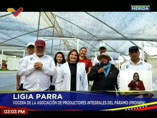 Mérida | 5 mil 300 familias son beneficiadas con semillas de papas de alta calidad