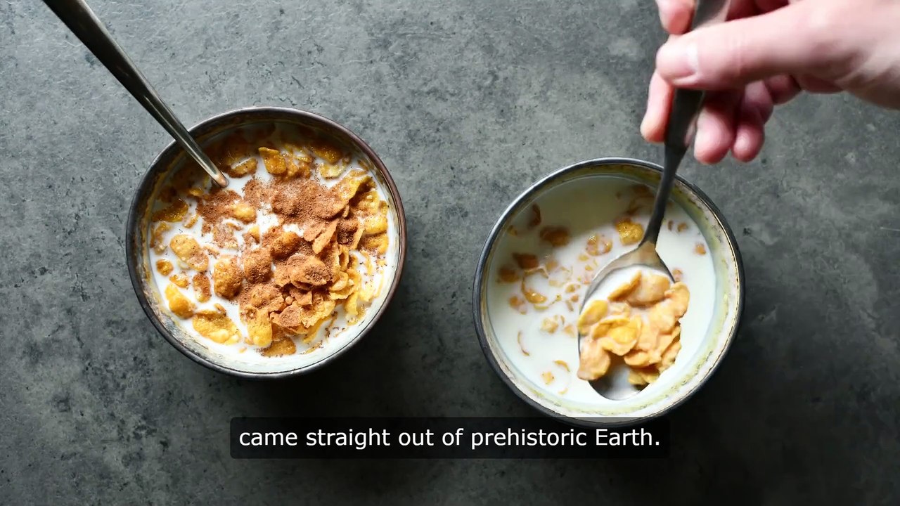 Stays Soggy In Milk: The One About Breakfast Cereals