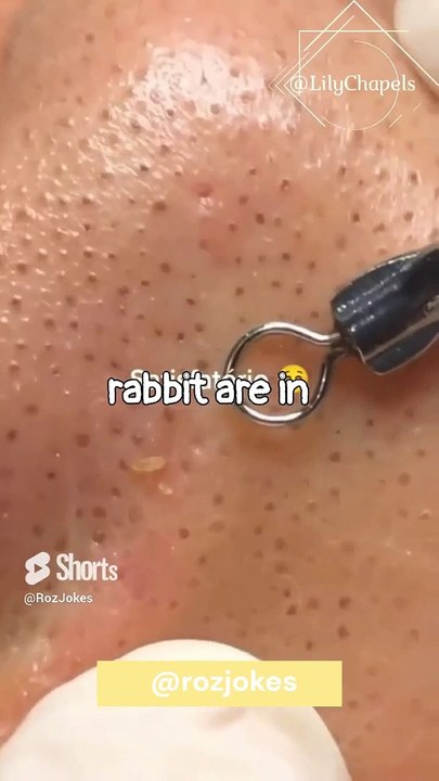 Hilarious Joke with Bear & A Rabbit #jokes #Comedy #Funny