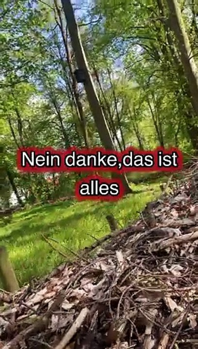 تعلم اللغة الالمانية